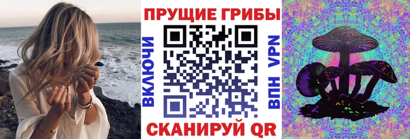 что такое наркотик Руза Псилоцибиновые грибы мухоморы